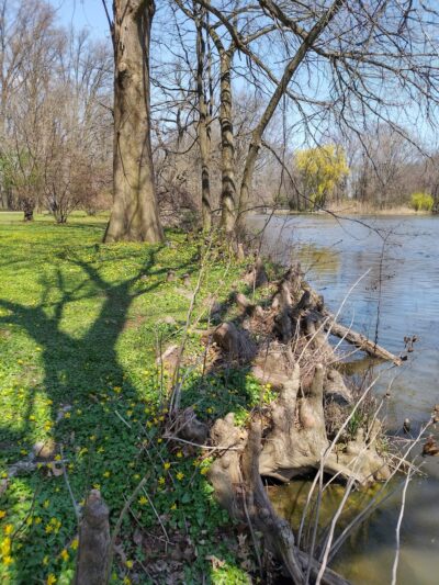 Willowbrook Park Softball Fields - Staten Island, NY