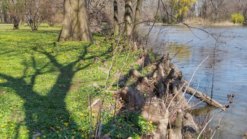 Willowbrook Park Softball Fields - Staten Island, NY