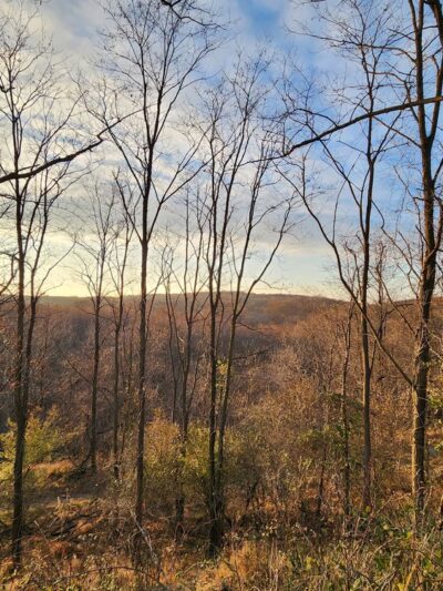 Willowbrook Parkway - Staten Island, NY