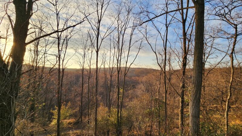 Willowbrook Parkway - Staten Island, NY