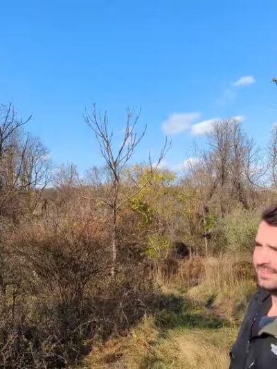 Willowbrook Parkway - Staten Island, NY