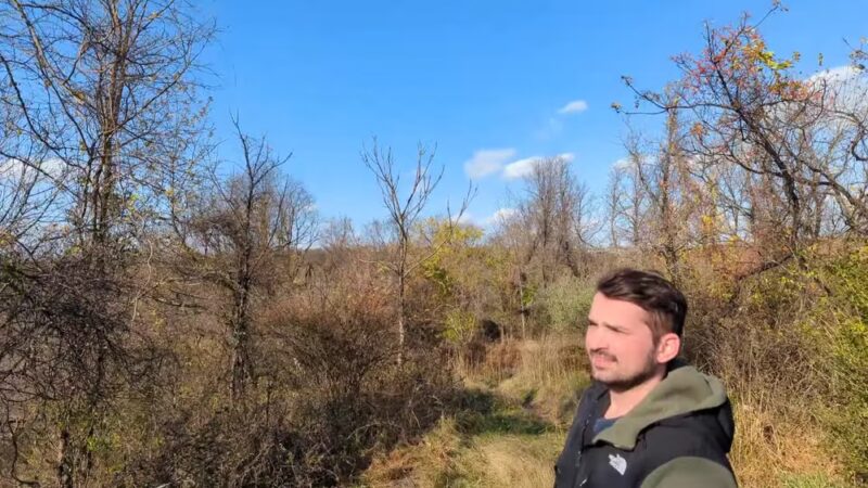 Willowbrook Parkway - Staten Island, NY