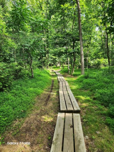 Willowbrook Parkway - Staten Island, NY