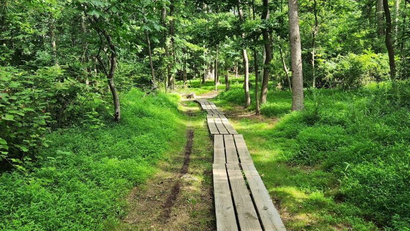 Willowbrook Parkway - Staten Island, NY