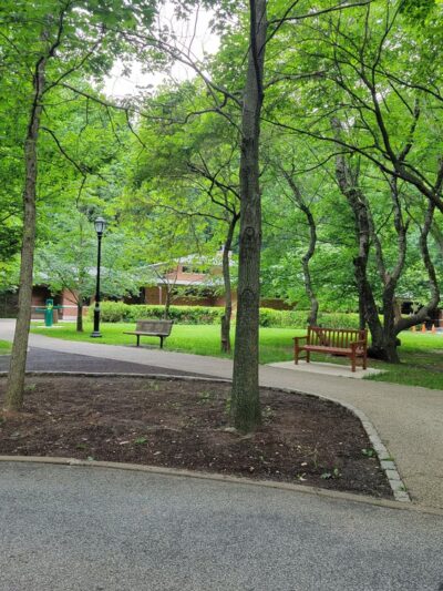 Willowbrook Parkway - Staten Island, NY