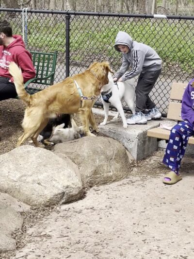 Wolfe Pond Dog Run - Staten Island, NY