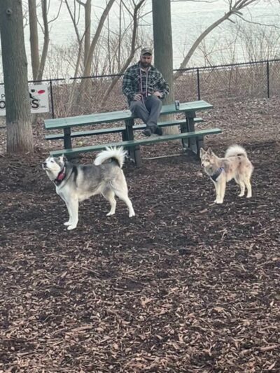 Wolfe Pond Dog Run - Staten Island, NY