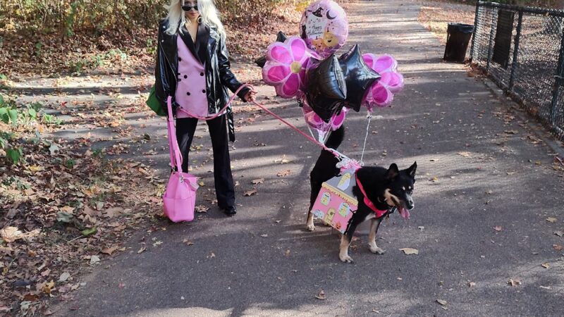 Wolfe Pond Dog Run - Staten Island, NY