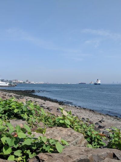 Alice Austen Park - Staten Island, NY