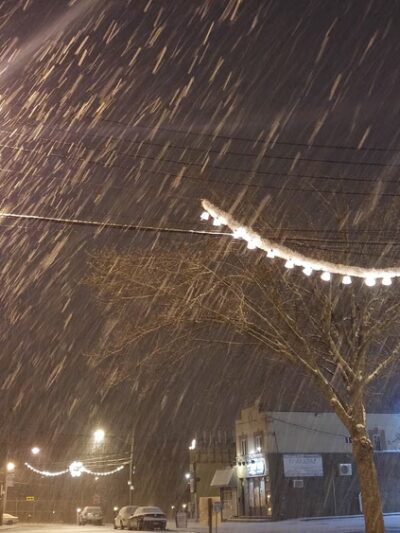 Annadale Green - Staten Island, NY