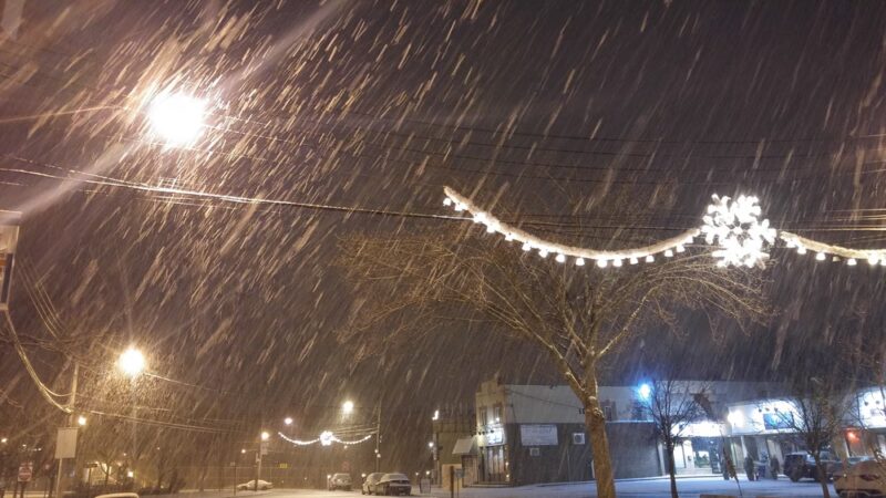 Annadale Green - Staten Island, NY