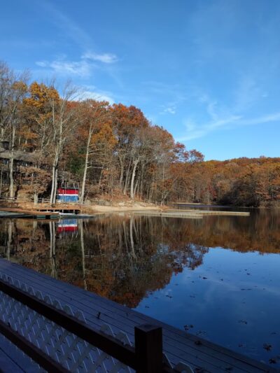 Blood Root Valley - Staten Island, NY