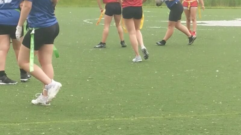 Blood Root Valley - Staten Island, NY