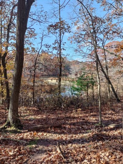Blood Root Valley - Staten Island, NY