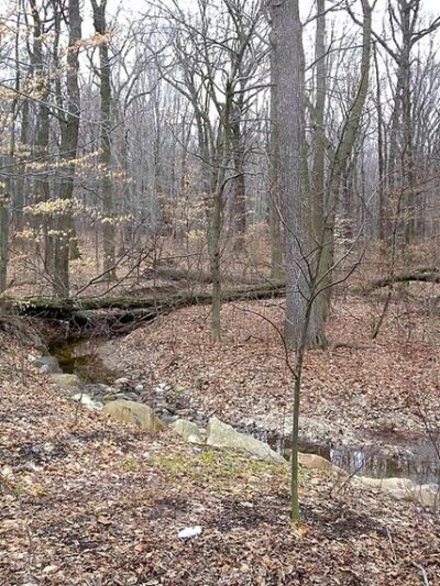 Bloomingdale Park - Staten Island, NY