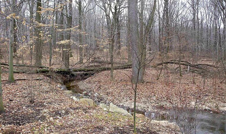Bloomingdale Park - Staten Island, NY