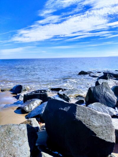 Blueberry Park - Staten Island, NY