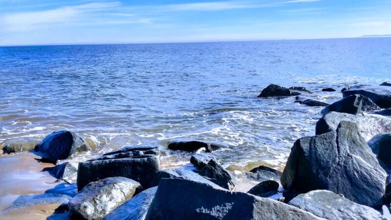 Blueberry Park - Staten Island, NY