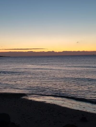 Blueberry Park - Staten Island, NY