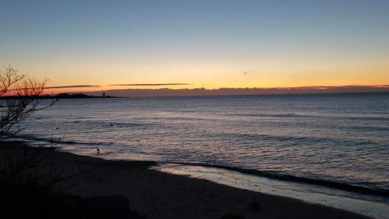Blueberry Park - Staten Island, NY
