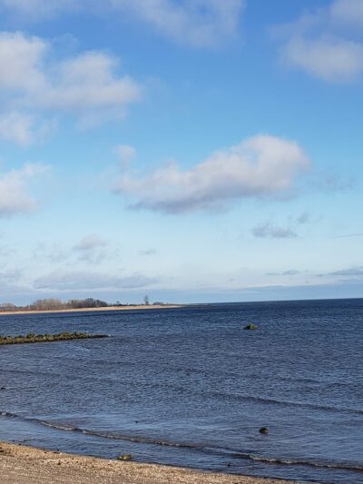 Blueberry Park - Staten Island, NY