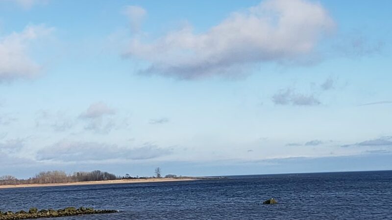 Blueberry Park - Staten Island, NY