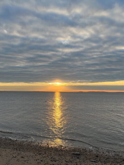 Blueberry Park - Staten Island, NY