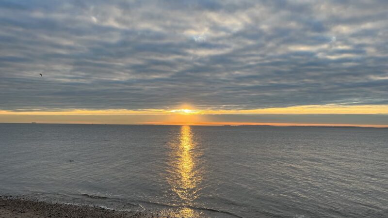 Blueberry Park - Staten Island, NY