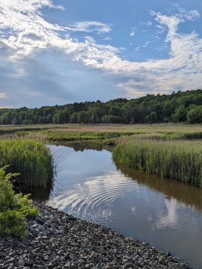 Brookfield Park - Staten Island, NY