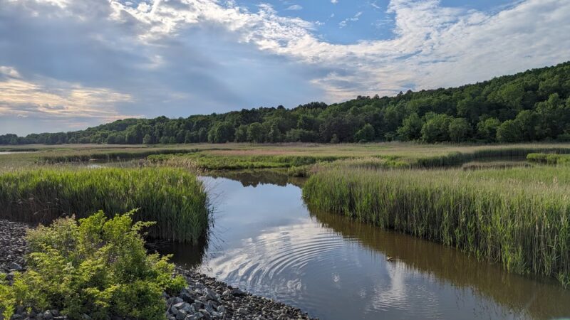 Brookfield Park - Staten Island, NY
