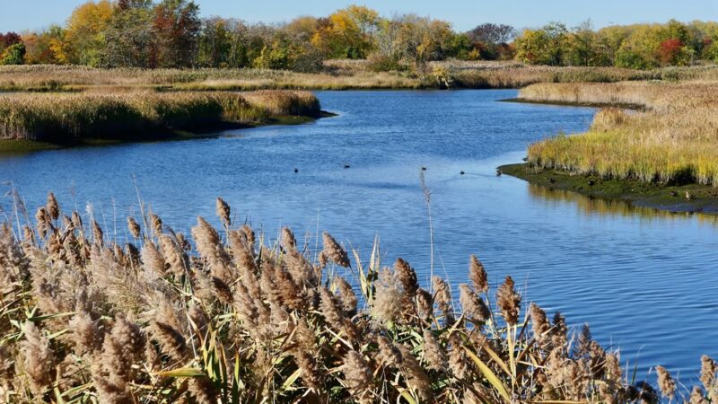 Brookfield Park - Staten Island, NY