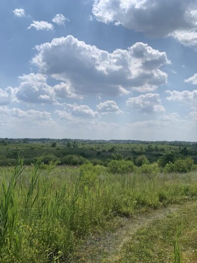 Brookfield Park - Staten Island, NY