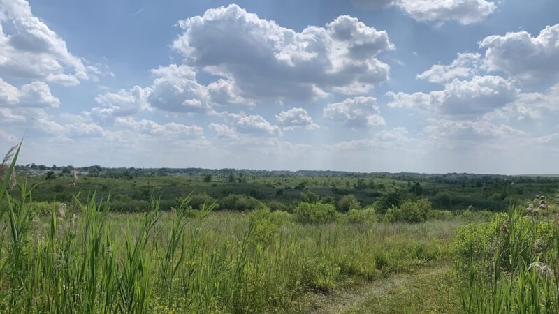Brookfield Park - Staten Island, NY