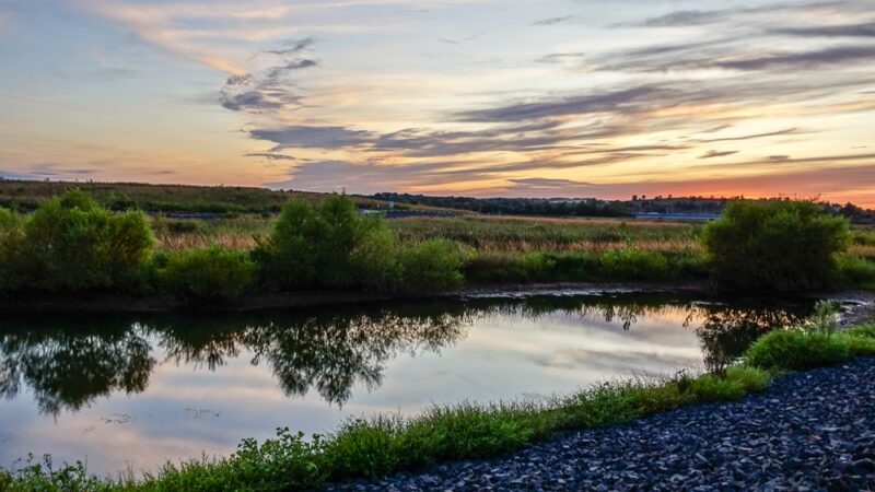 Brookfield Park - Staten Island, NY