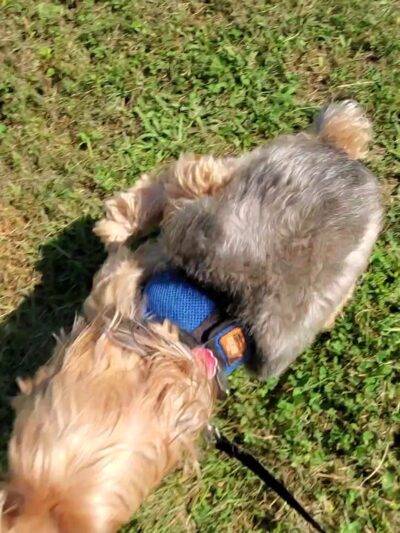 Father Macris Park - Staten Island, NY