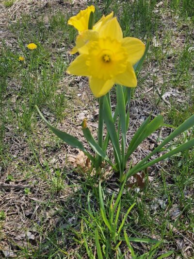 Graniteville Quarry Park - Staten Island, NY