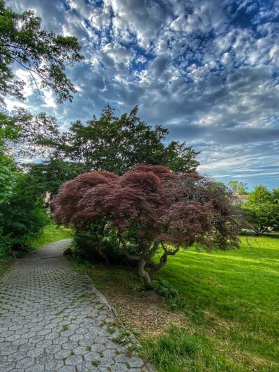 Hero Park - Staten Island, NY