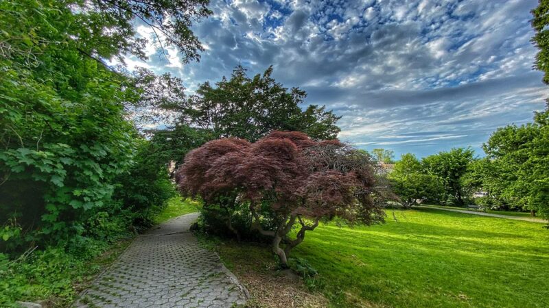 Hero Park - Staten Island, NY