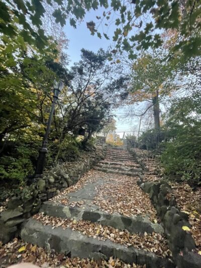 Hero Park - Staten Island, NY