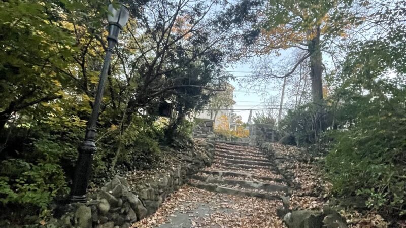 Hero Park - Staten Island, NY