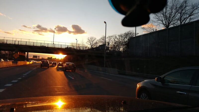 Ingram Woods - Staten Island, NY