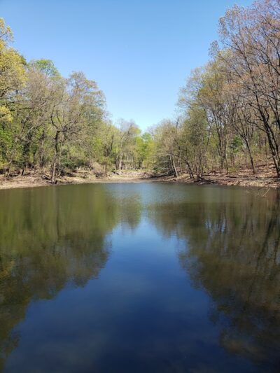 Jones Woods Park - Staten Island, NY