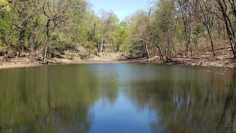 Jones Woods Park - Staten Island, NY