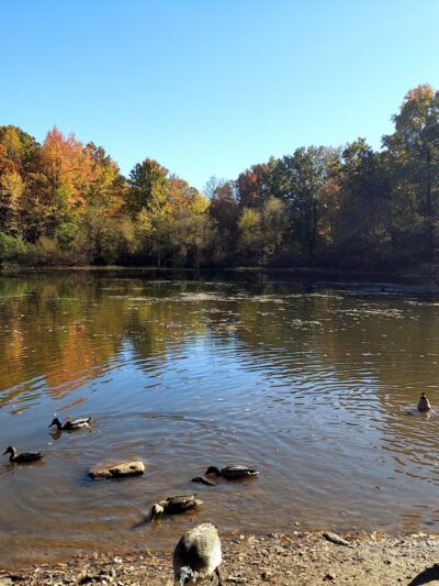 King Fisher Park - Staten Island, NY