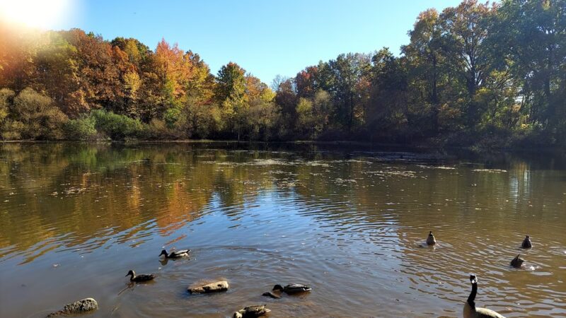 King Fisher Park - Staten Island, NY