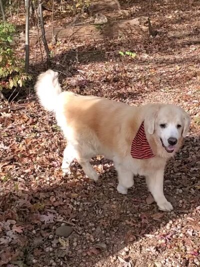 King Fisher Park - Staten Island, NY