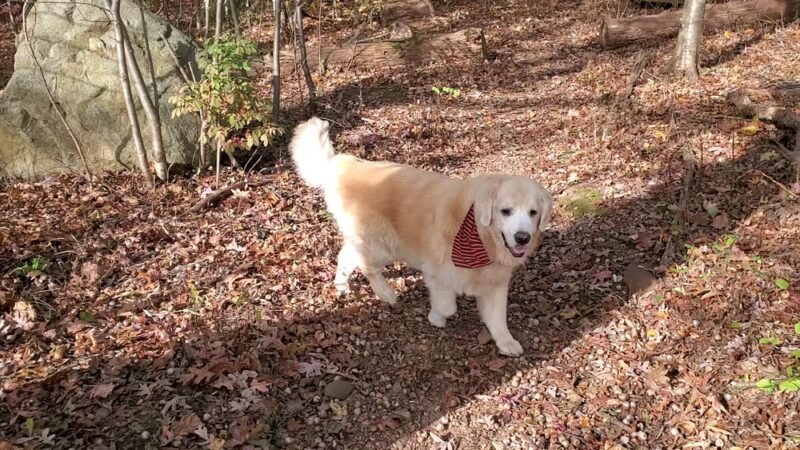 King Fisher Park - Staten Island, NY