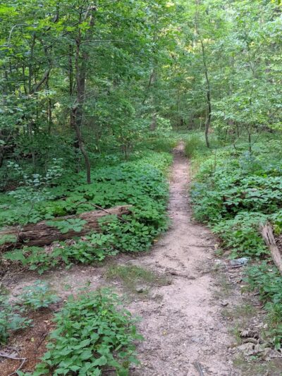 King Fisher Park - Staten Island, NY
