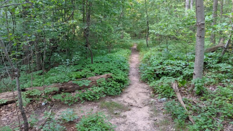 King Fisher Park - Staten Island, NY