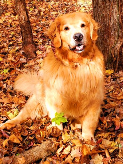 King Fisher Park - Staten Island, NY